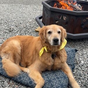 Meet your Posher, Missi